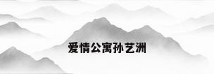 爱情公寓孙艺洲