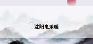沈阳电采暖