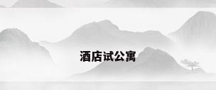 酒店试公寓
