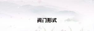 阀门形式