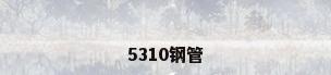 5310钢管