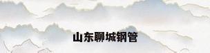 山东聊城钢管