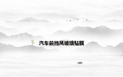 汽车前挡风玻璃贴膜