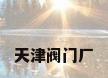 天津阀门厂
