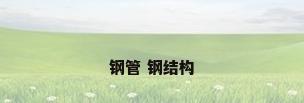 钢管 钢结构