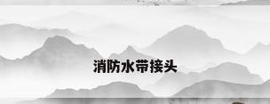 消防水带接头