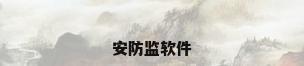 安防监软件