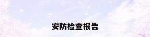 安防检查报告