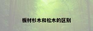 板材杉木和松木的区别