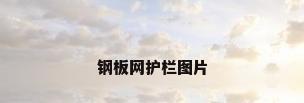 钢板网护栏图片