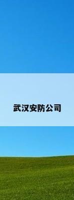 武汉安防公司