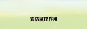 安防监控作用