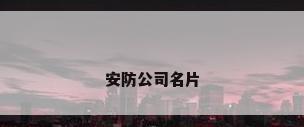 安防公司名片
