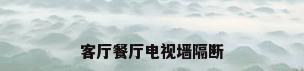 客厅餐厅电视墙隔断