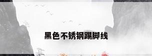 黑色不锈钢踢脚线
