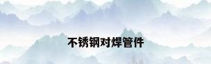不锈钢对焊管件