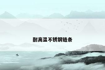 耐高温不锈钢链条