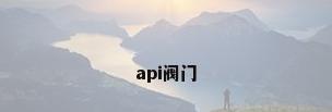 api阀门