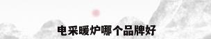 电采暖炉哪个品牌好