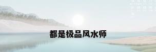 都是极品风水师