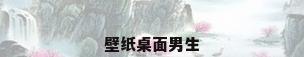 壁纸桌面男生