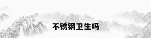 不锈钢卫生吗