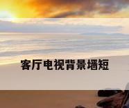 客厅电视背景墙短