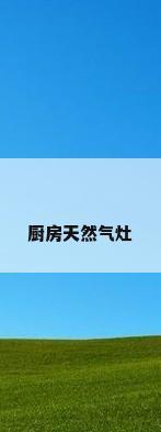 厨房天然气灶