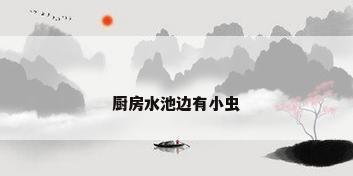 厨房水池边有小虫