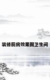 装修厨房效果图卫生间