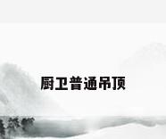 厨卫普通吊顶