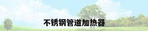 不锈钢管道加热器