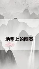 地毯上的图案