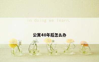 公寓40年后怎么办
