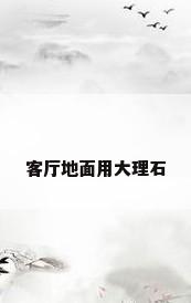 客厅地面用大理石