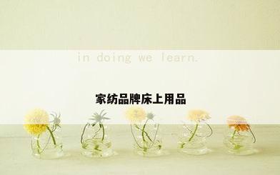 家纺品牌床上用品