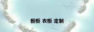 橱柜 衣柜 定制