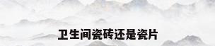 卫生间瓷砖还是瓷片