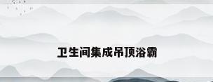 卫生间集成吊顶浴霸