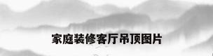 家庭装修客厅吊顶图片