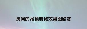 房间的吊顶装修效果图欣赏