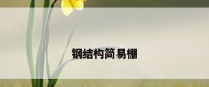钢结构简易棚