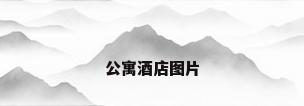 公寓酒店图片