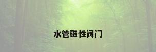 水管磁性阀门