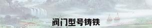 阀门型号铸铁