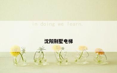 沈阳别墅电梯
