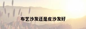 布艺沙发还是皮沙发好