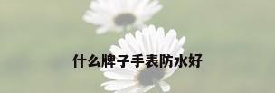 什么牌子手表防水好