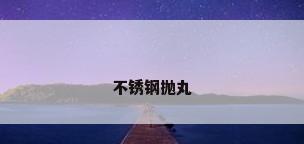 不锈钢抛丸