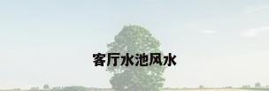 客厅水池风水